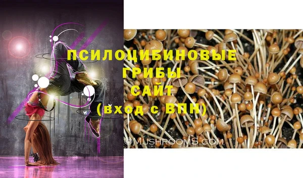 прущие крисы Елизово