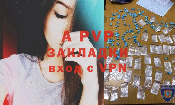 прущие крисы Елизово