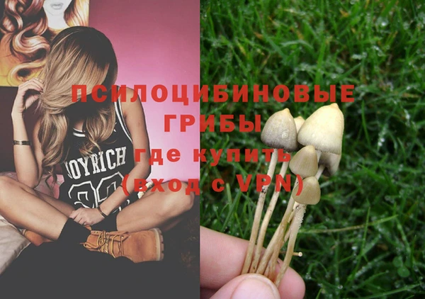 прущие крисы Елизово