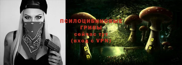 прущие крисы Елизово