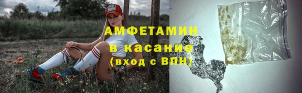 прущая мука Ельня