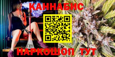 гидра Новодвинск