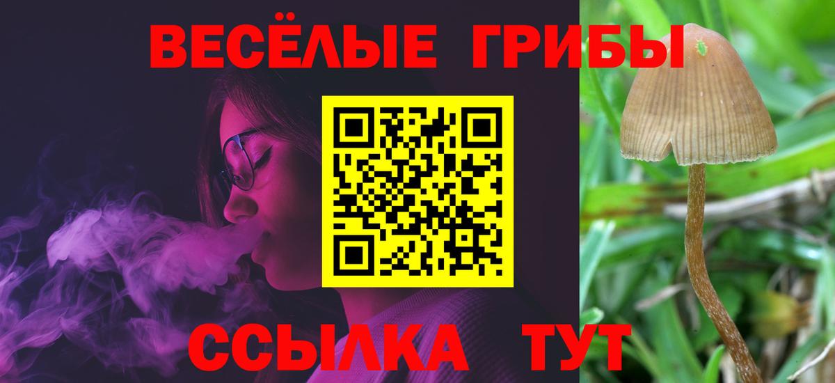 Псилоцибиновые грибы MAGIC MUSHROOMS  Вход с VPN  Снежинск 