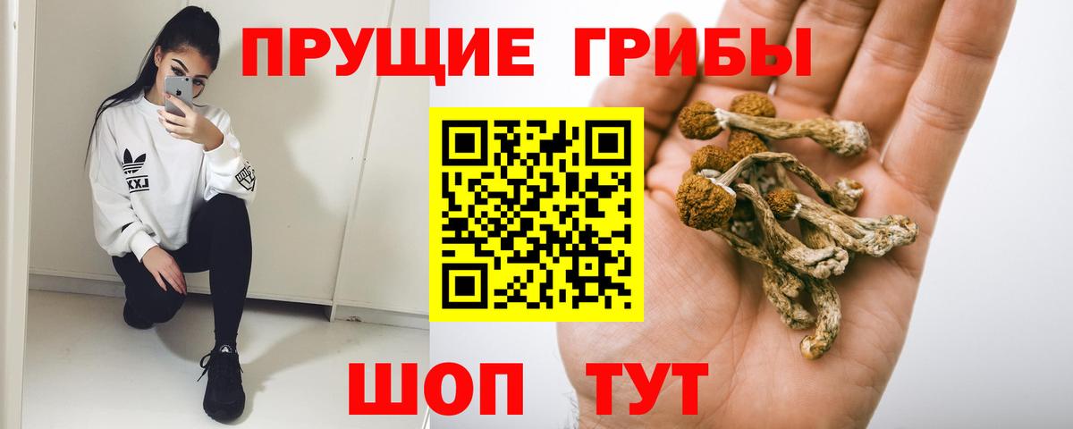 Псилоцибиновые грибы мицелий Снежинск